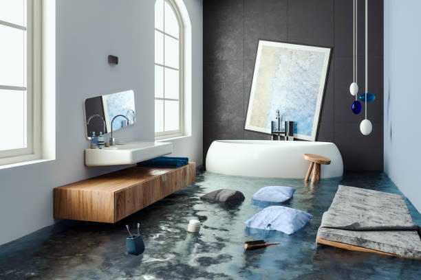 Best Professional water damage repair  in Plain City, UT