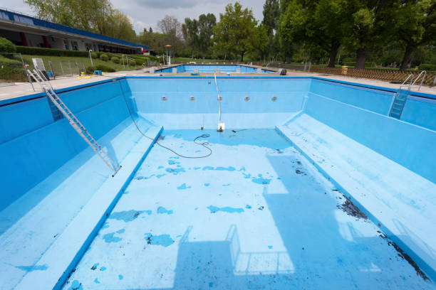 Best Carpet water damage restoration  in Plain City, UT