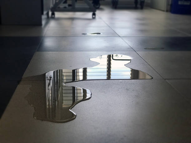 Best Emergency water damage restoration  in Plain City, UT