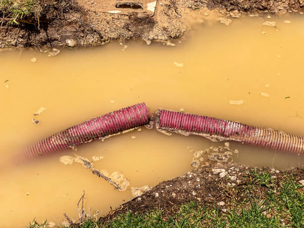 Best Water damage restoration near me  in Plain City, UT